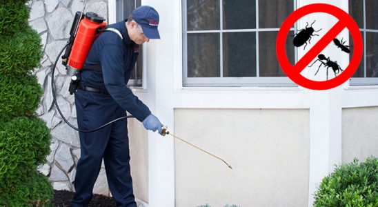 Kartal Dezenfeksiyon böcek ilaçlama ve haşere kontrolü — ilaclama-tr.com